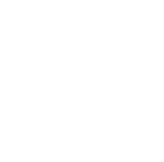 restructure merchant fees icon 