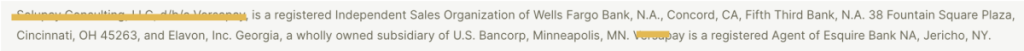 Website footer disclosure reading registered ISO slash MSP of a sponsoring bank